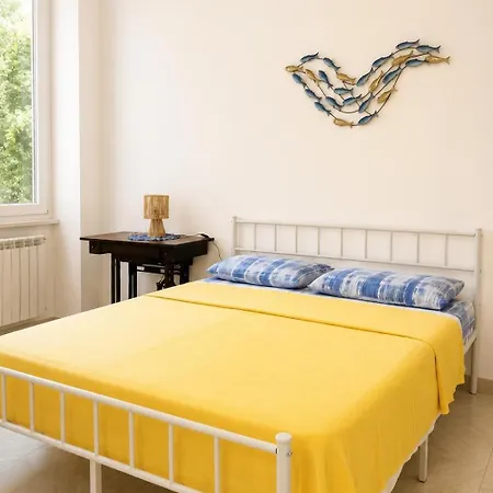 Casa Garzoglio 诺利